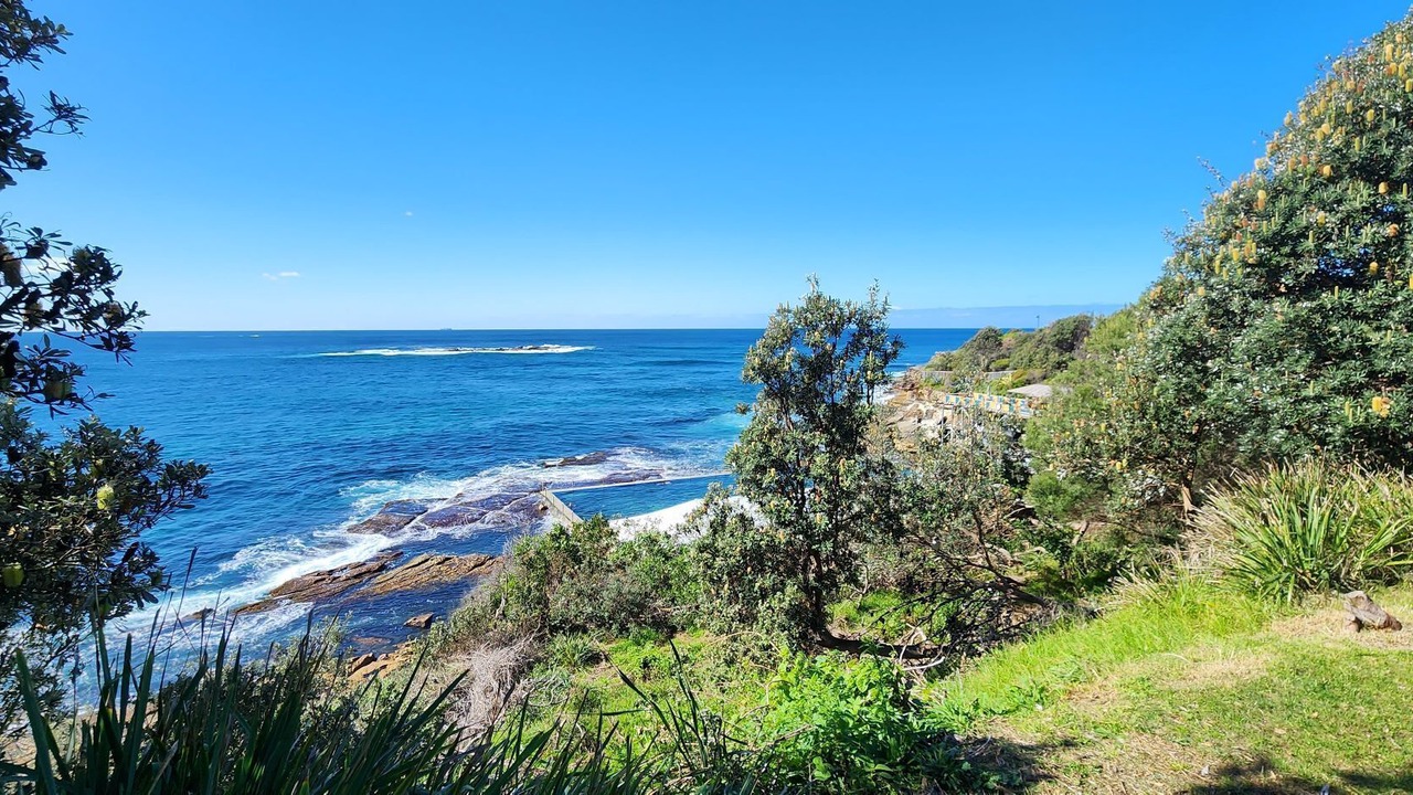 Photo of Others in Coogee
