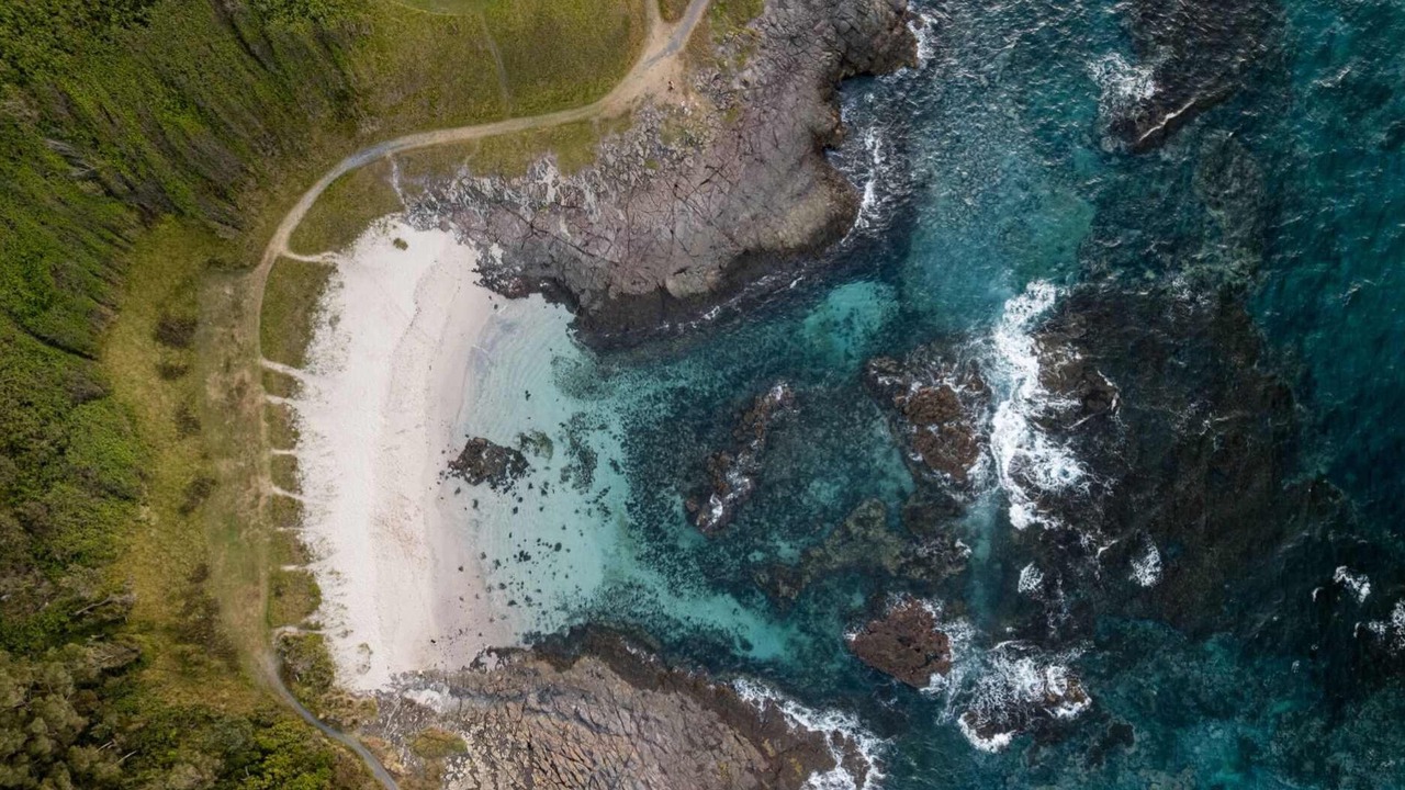 Photo of Others in Shellharbour