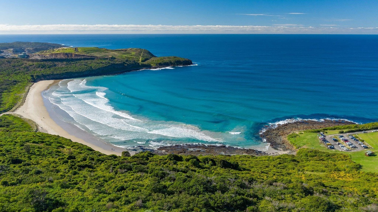 Photo of Others in Shellharbour