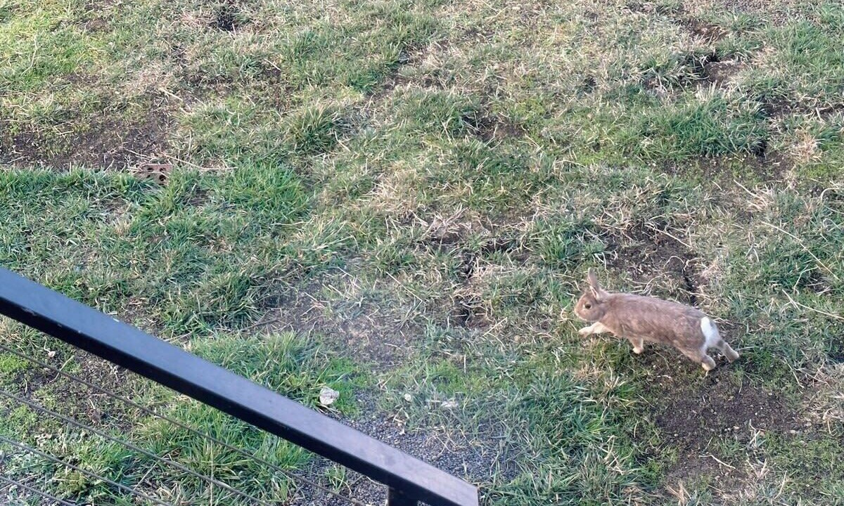 Photo of Others in Granton