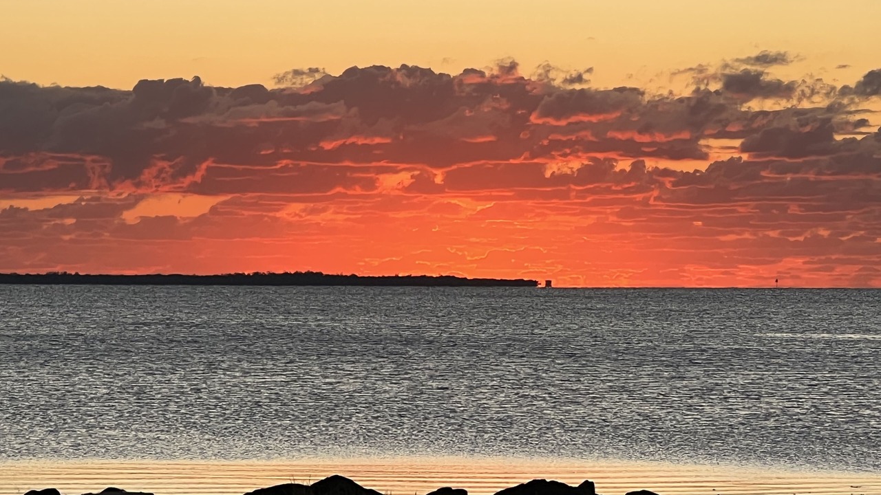 Photo of Others in Manly