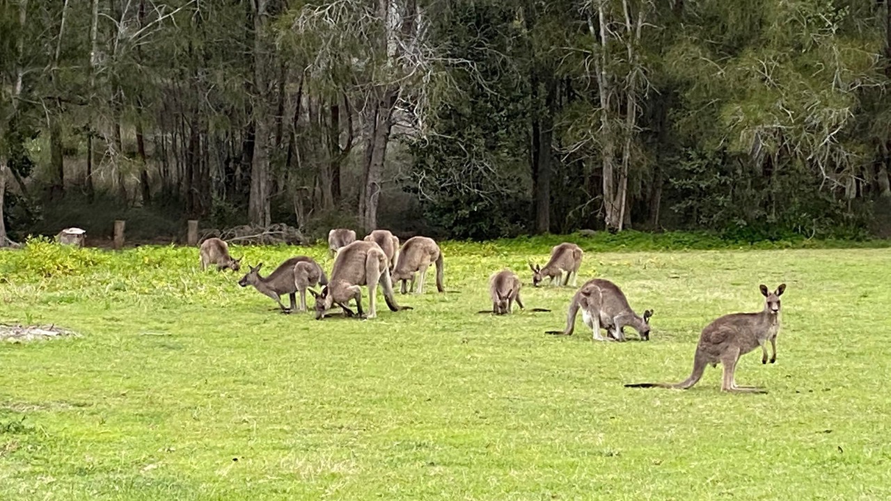 Photo of Others in Potato Point