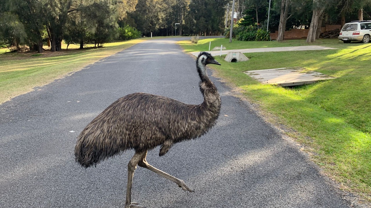 Photo of Others in Potato Point