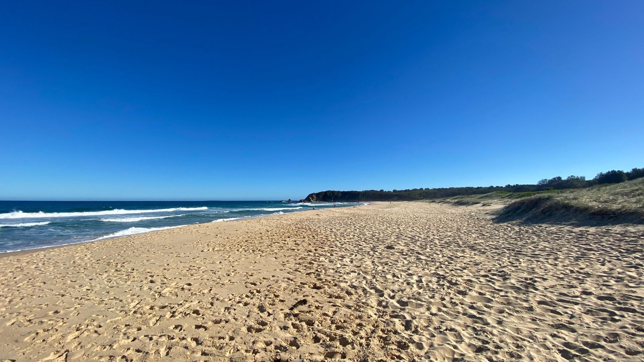 Photo of Others in Potato Point
