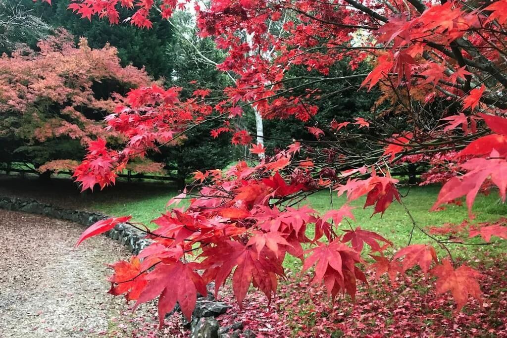 Photo of Outdoor in Bilpin