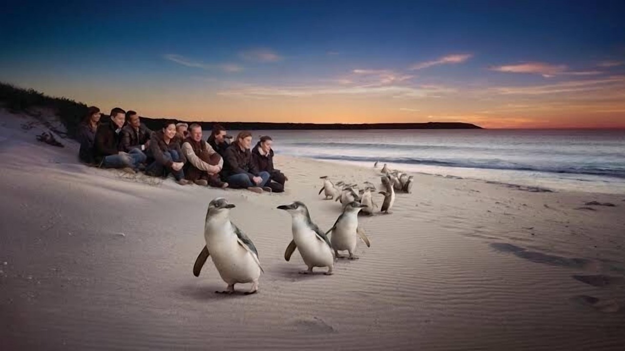 Photo of Others in Powlett River