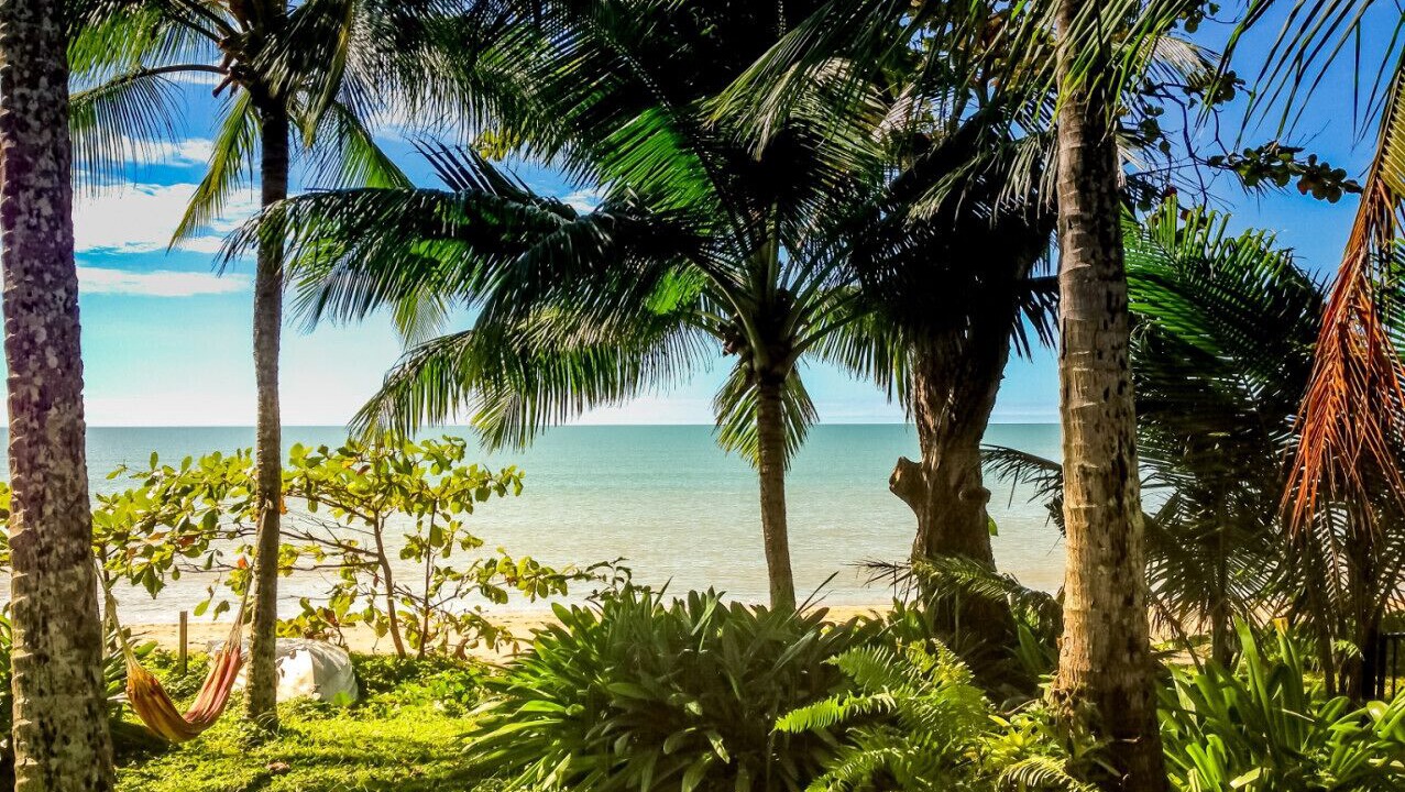 Photo of Others in Holloways Beach