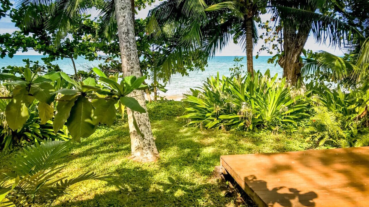 Photo of Outdoor in Holloways Beach