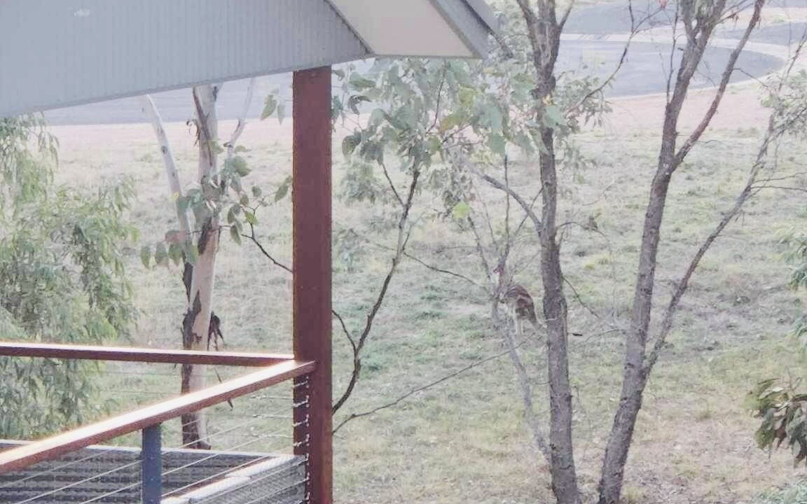 Photo of Outdoor in Central Mudgee