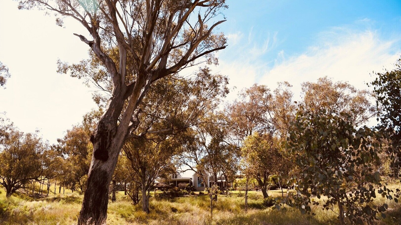 Photo of Outdoor in Loomberah