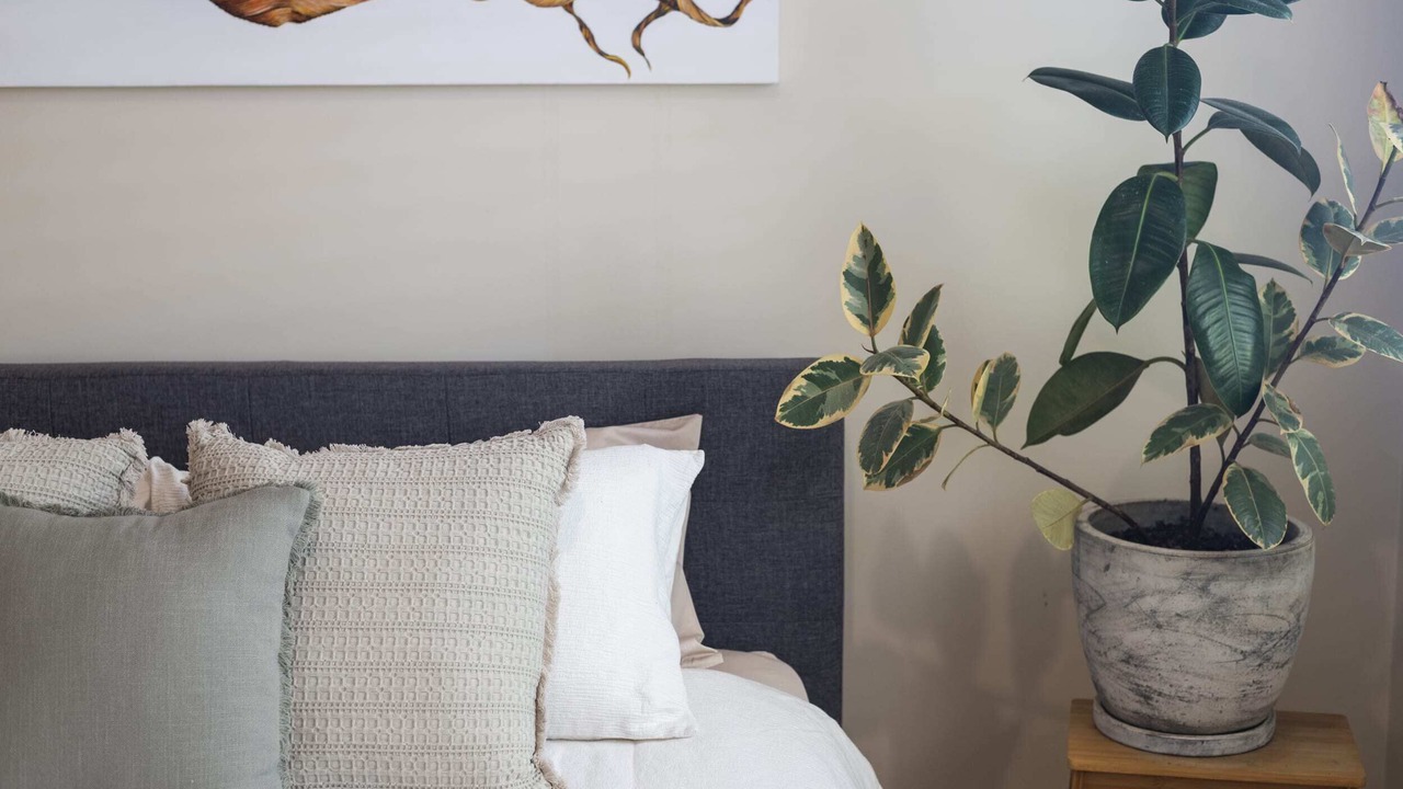 Photo of Bedroom in Yamba