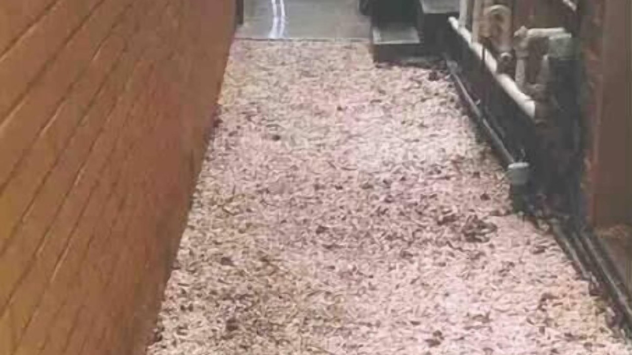 Photo of Others in Stawell