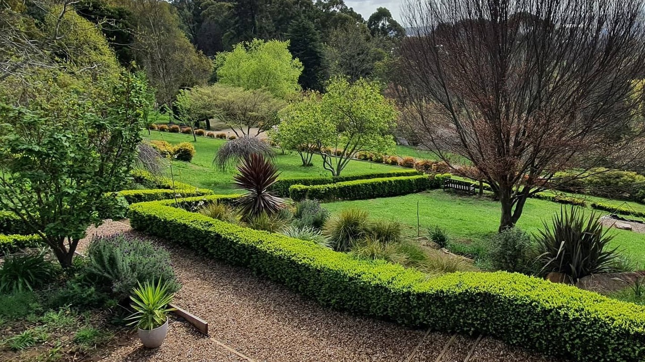 Photo of Outdoor in Olinda
