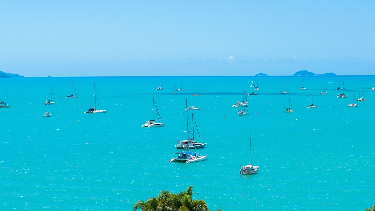 Photo of Others in Airlie Beach