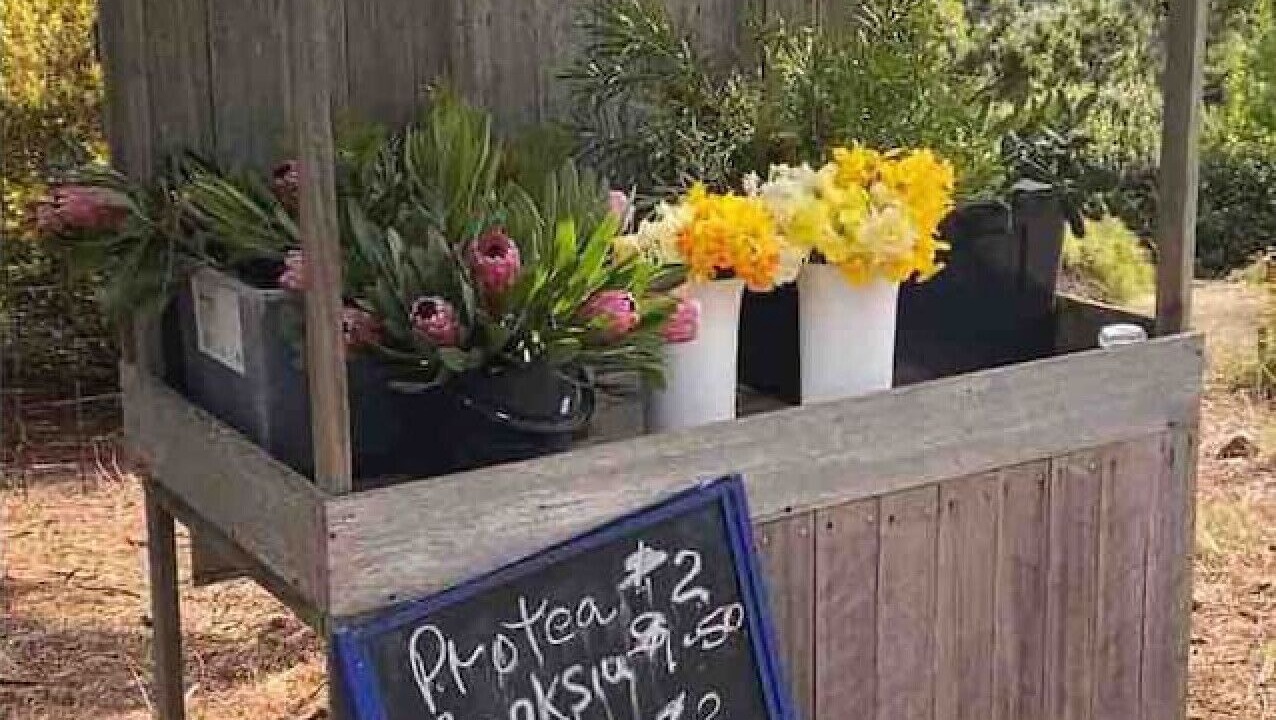 Photo of Outdoor in Gravelly Beach