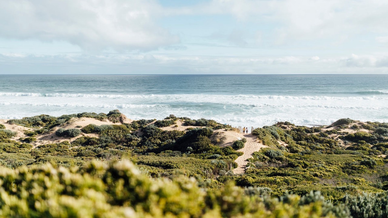 Photo of Others in St. Andrews Beach