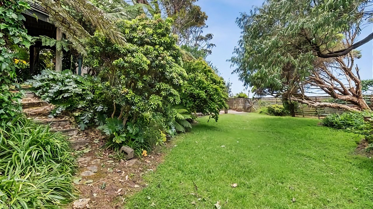 Photo of Outdoor in Malua Bay