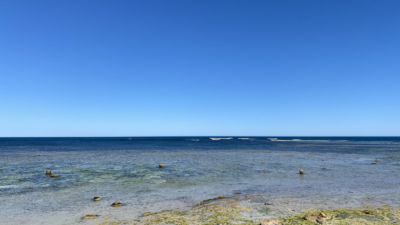 Photo of Others in Port Macdonnell