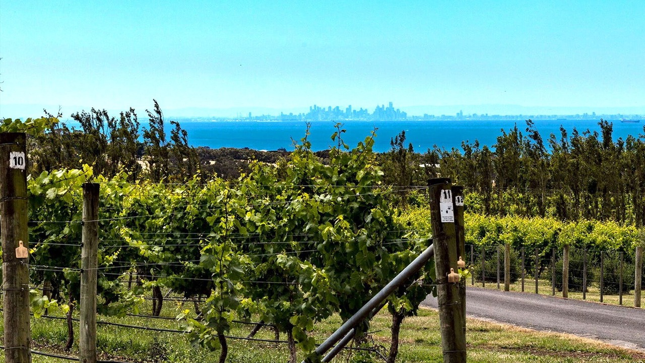 Photo of Outdoor in Clifton Springs