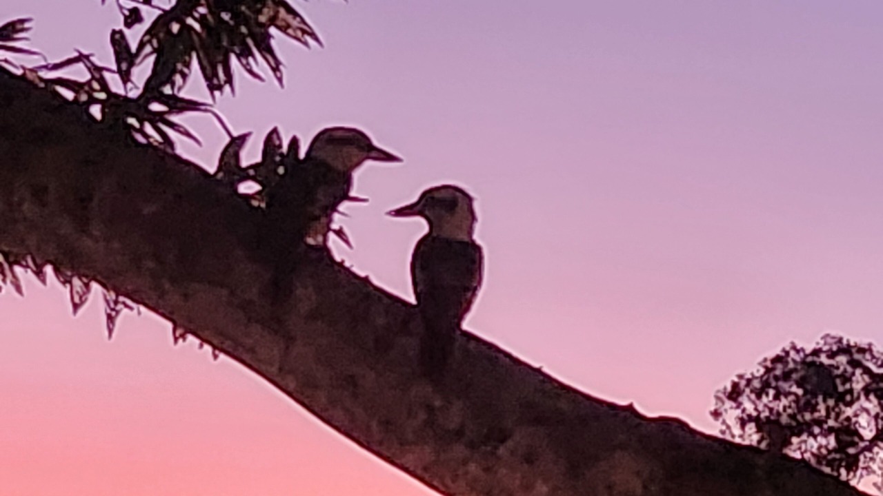 Photo of Outdoor in Pomona