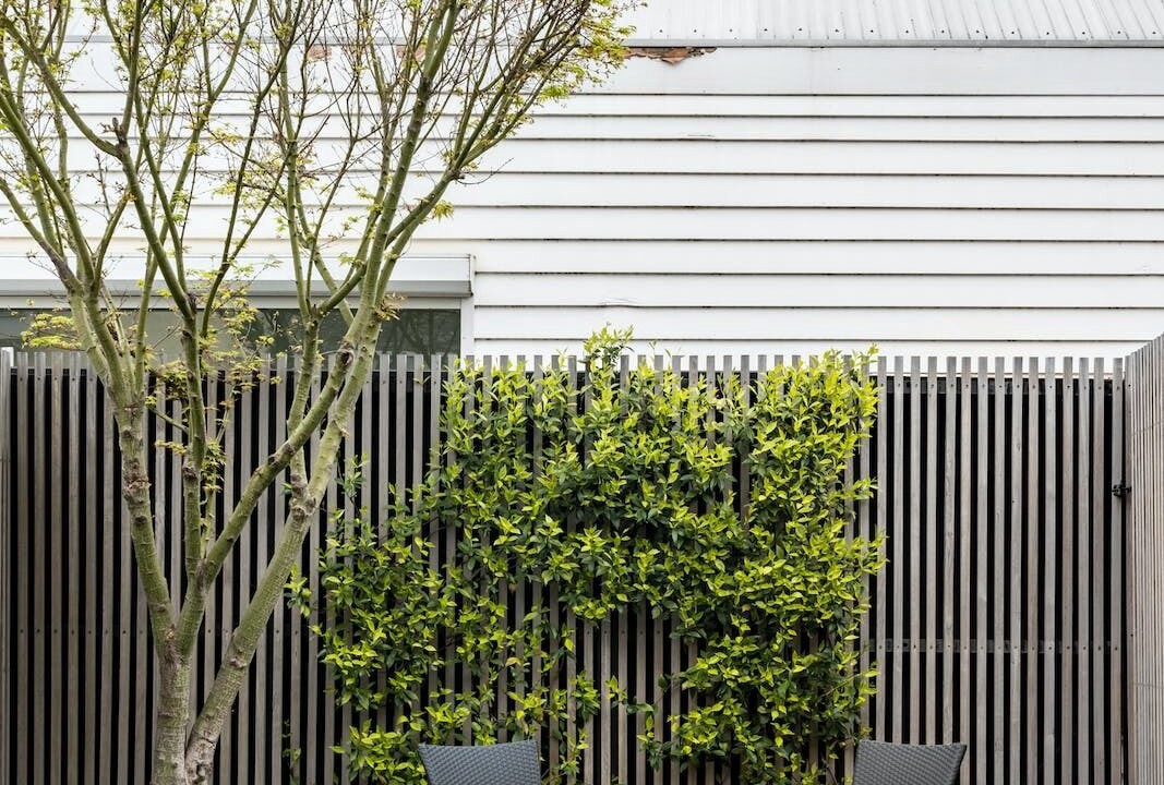 Photo of Patio Balcony in Port Melbourne