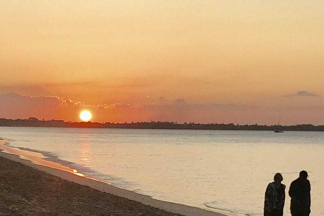 Photo of Others in Torquay