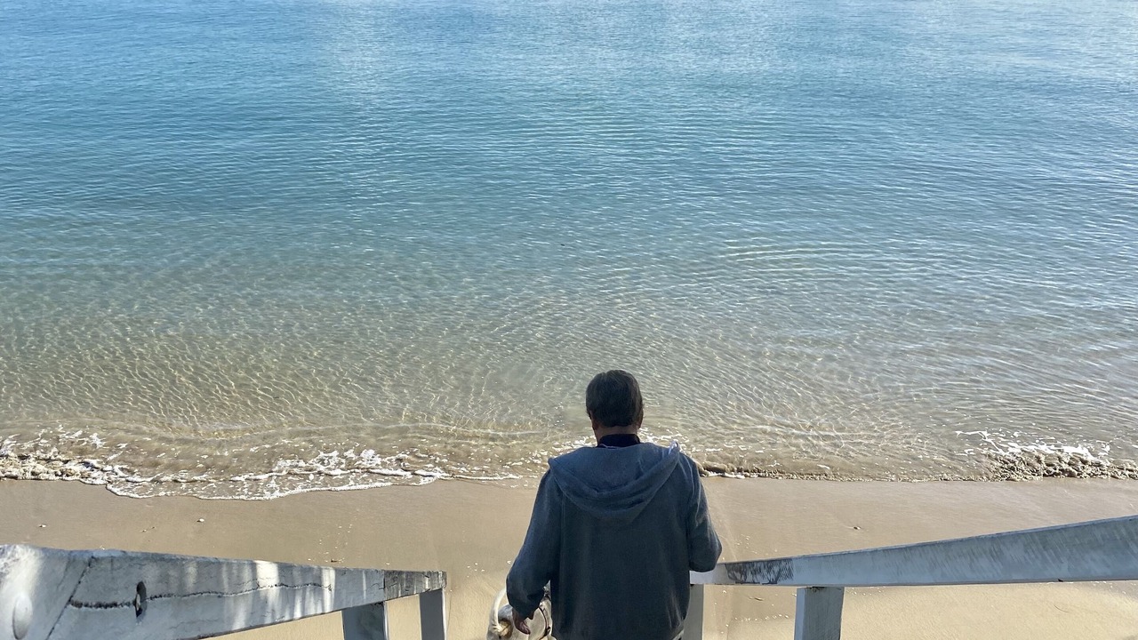 Photo of Others in Torquay