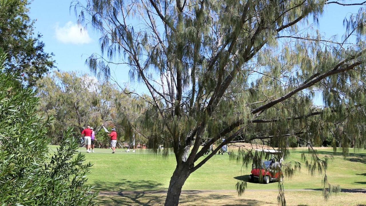 Photo of Others in Bargara