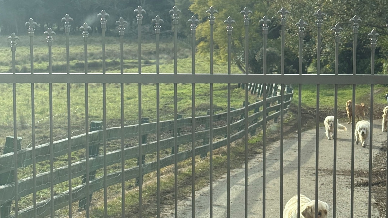 Photo of Outdoor in Jilliby