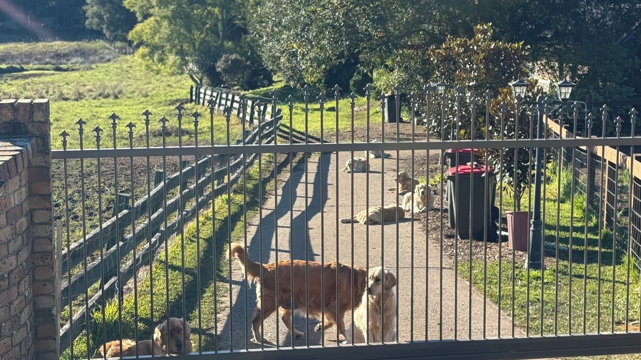 Photo of Outdoor in Jilliby