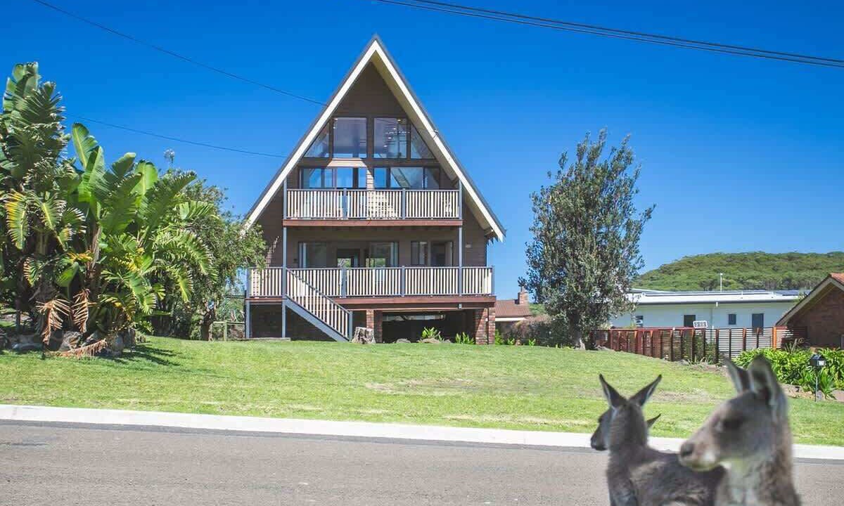 Photo of Outdoor in Kioloa