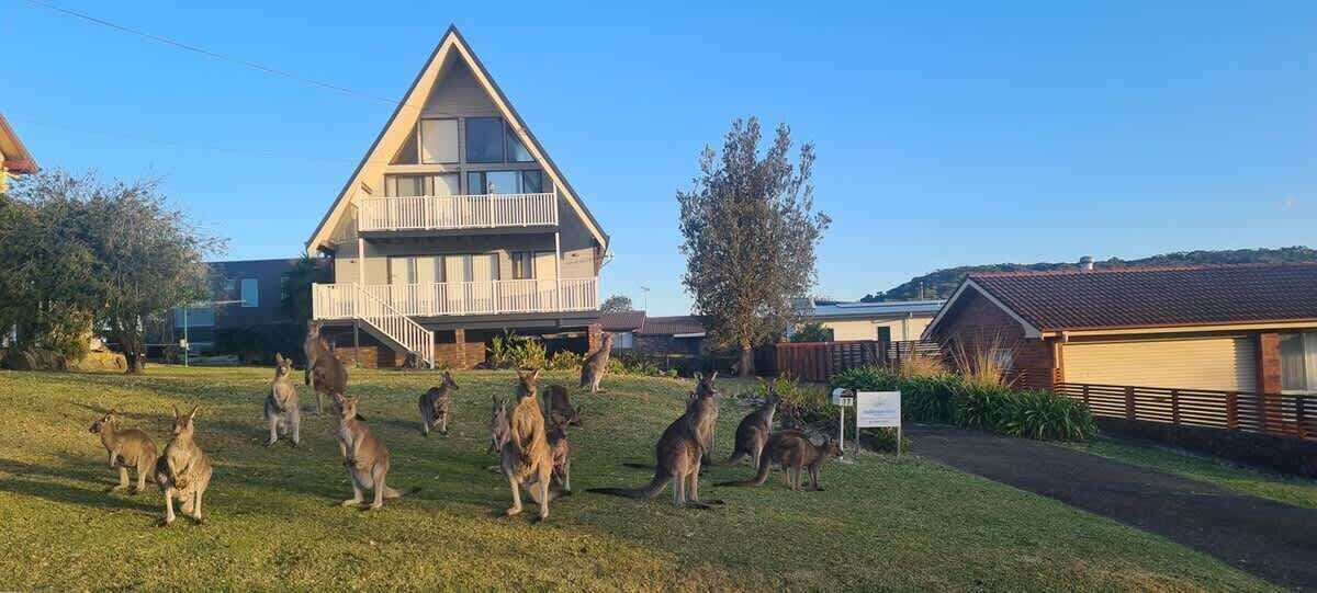 Photo of Outdoor in Kioloa
