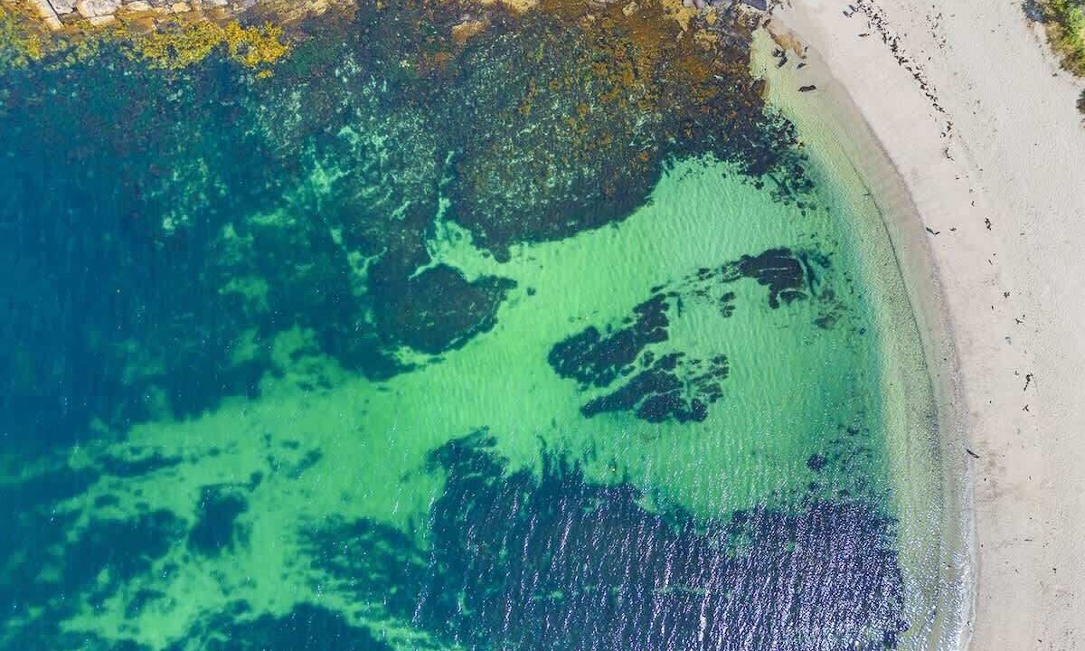 Photo of Others in Mollymook