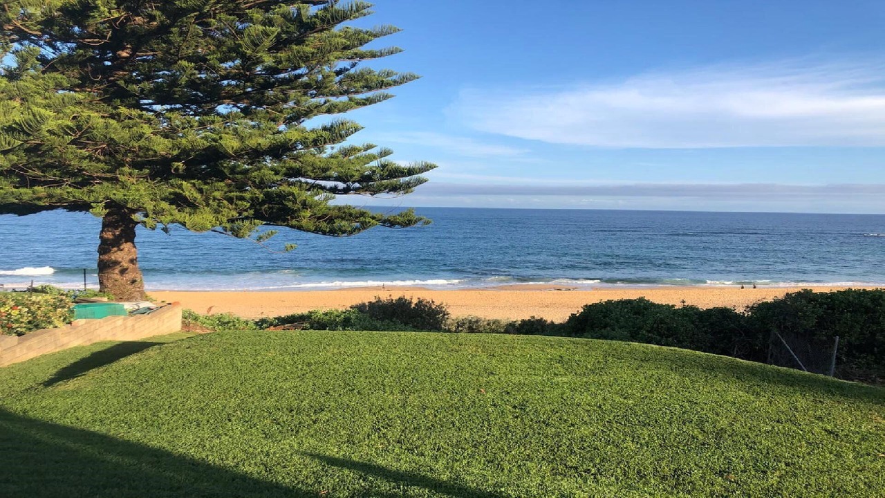 Photo of Outdoor in Forresters Beach