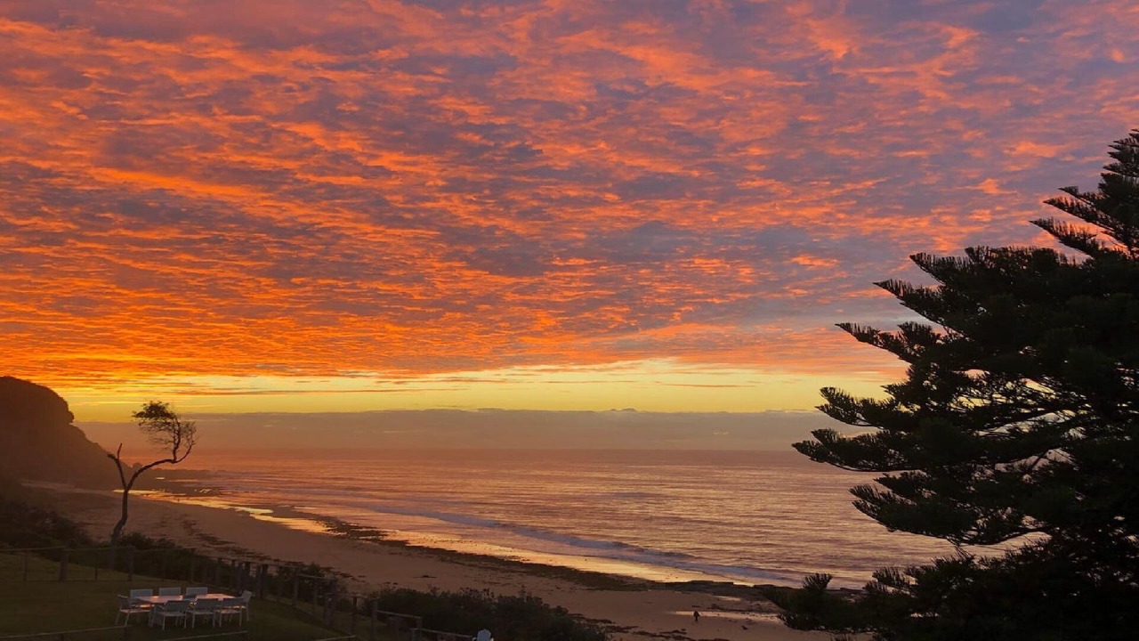 Photo of Others in Forresters Beach