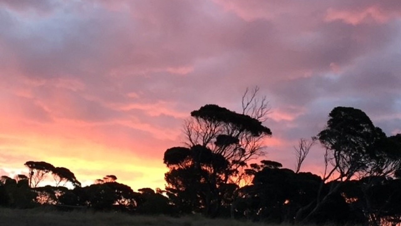 Photo of Others in Emu Bay
