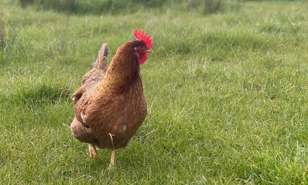 Photo of Others in Smeaton