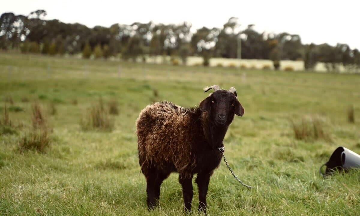 Photo of Others in Smeaton