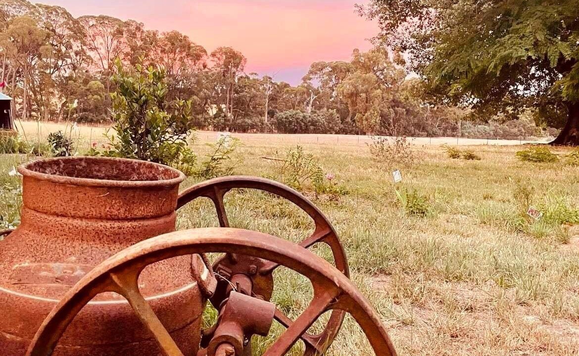 Photo of Outdoor in Strathbogie