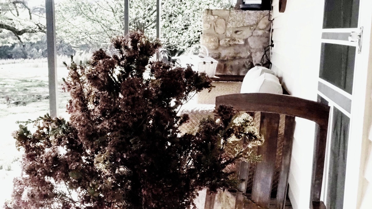 Photo of Patio Balcony in Strathbogie