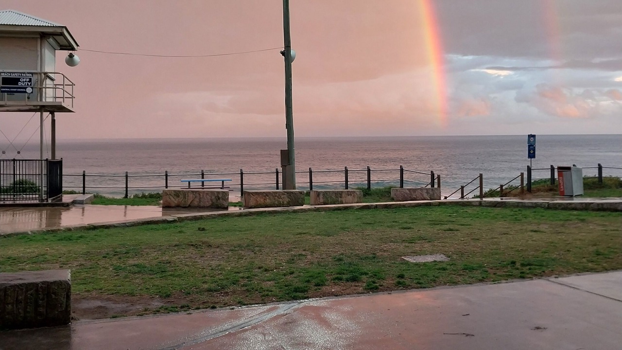 Photo of Others in Shelly Beach