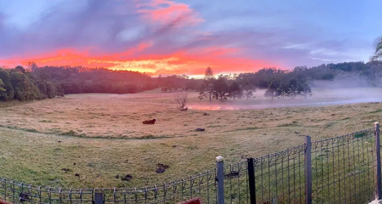 Photo of Outdoor in Eumundi