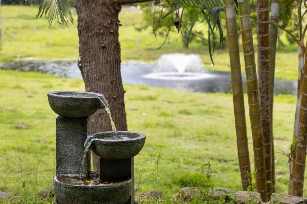 Photo of Outdoor in Eumundi