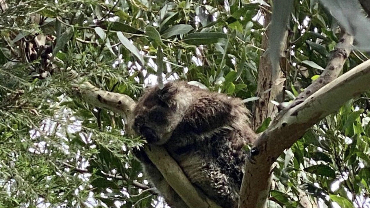 Photo of Others in Wye River