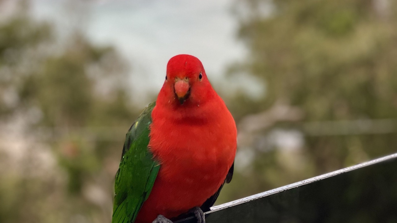 Photo of Others in Wye River