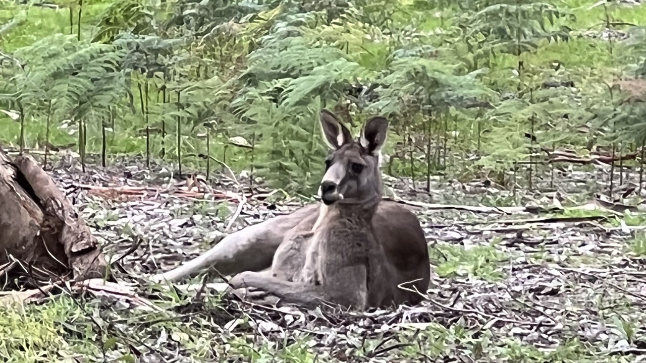 Photo of Others in Wye River