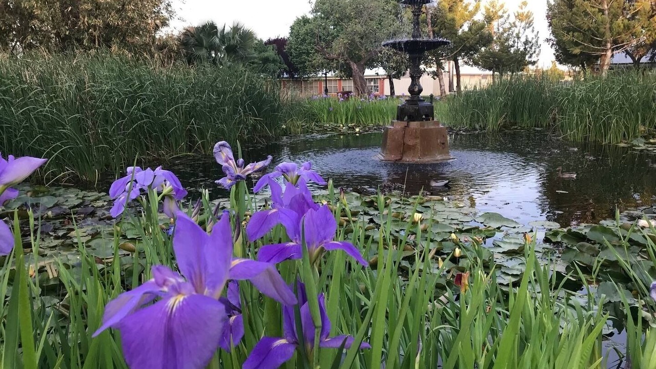 Photo of Outdoor in Dubbo