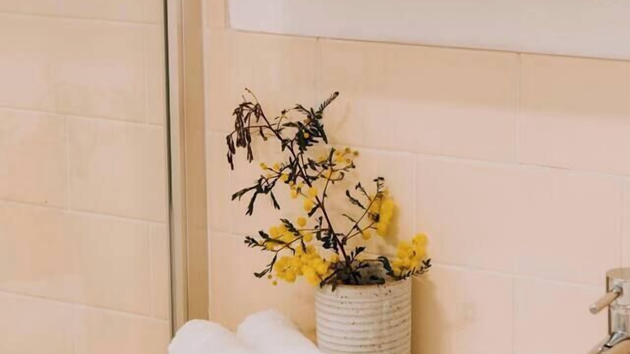 Photo of Bathroom in Central Mudgee