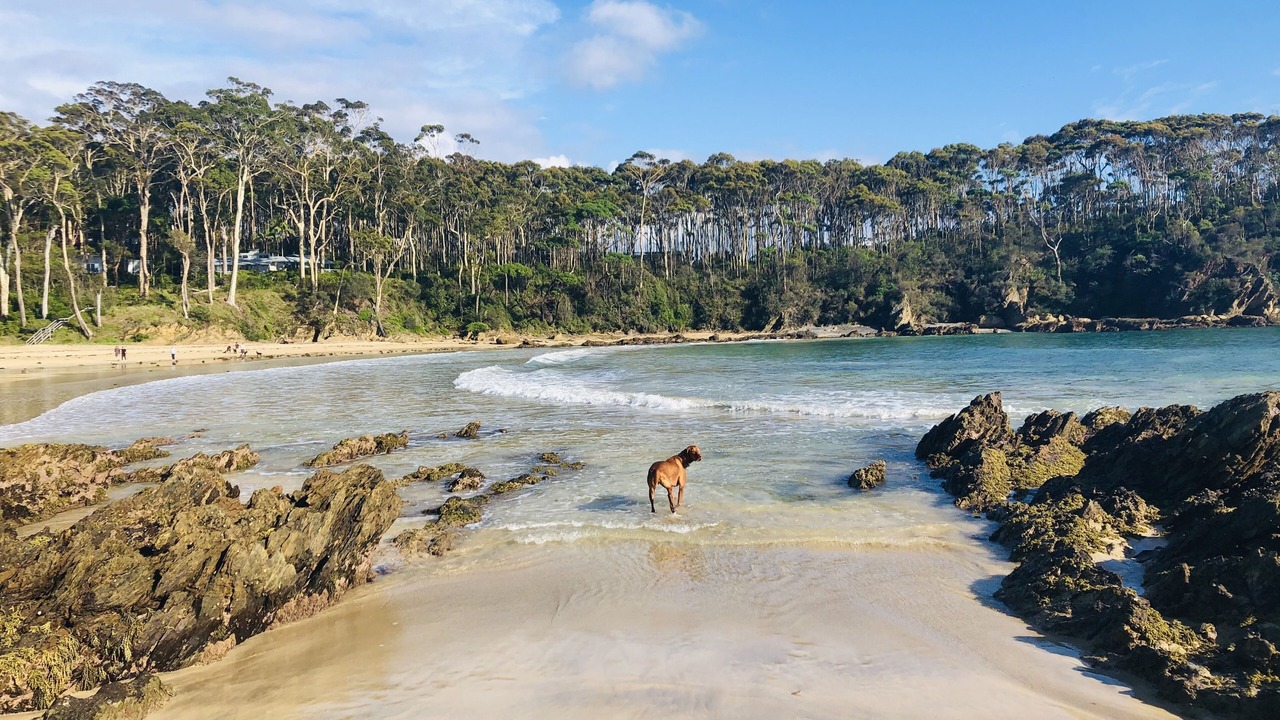 Photo of Others in Malua Bay