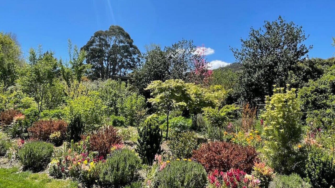 Photo of Outdoor in Mount Macedon